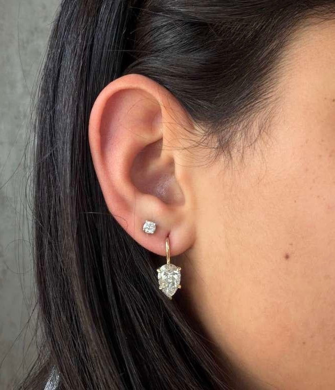 Rosa Eterna Earrings