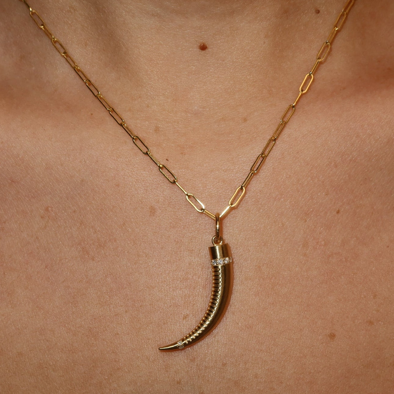 Fortune Horne Charm