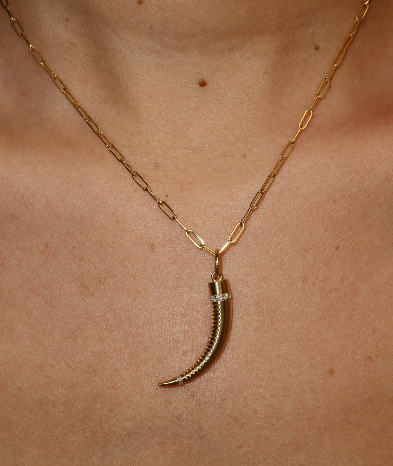 Fortune Horne Charm