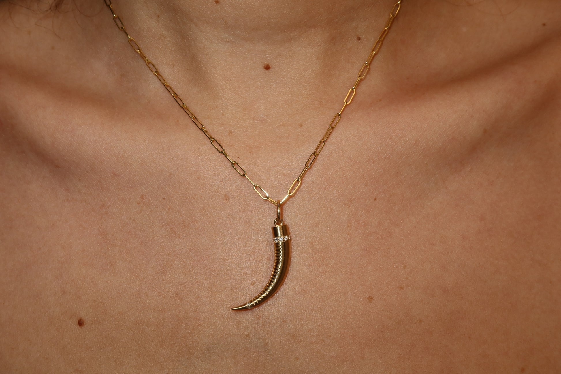 Fortune Horne Charm